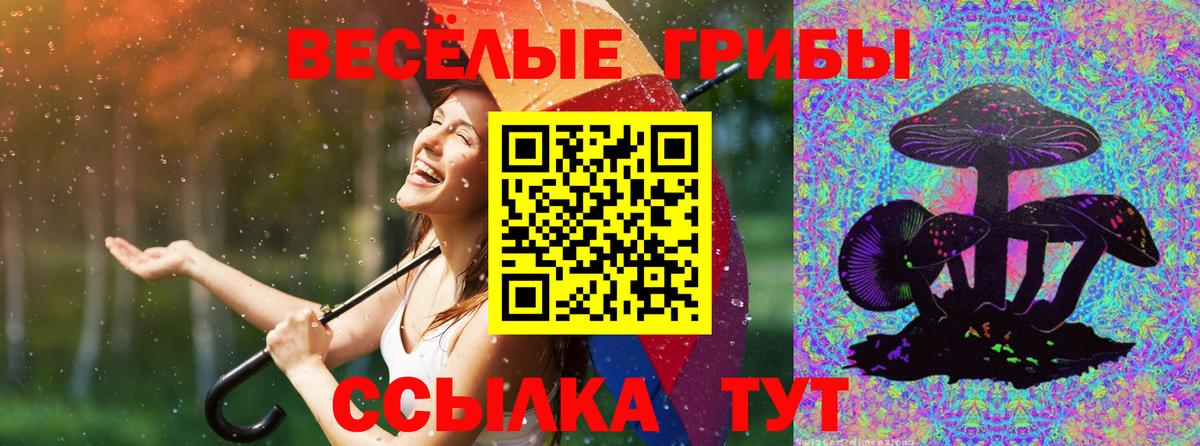Псилоцибиновые грибы GOLDEN TEACHER Белая Калитва
